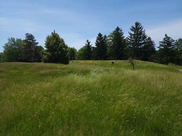 The Jewel of Grand Blanc - From Banana 1015 Radio (newer photo)